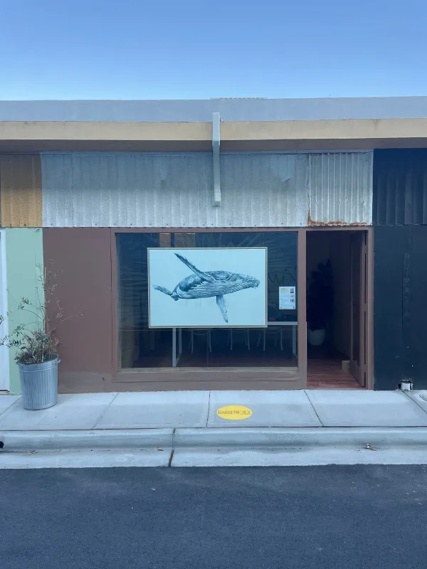 Barrenjoey Artwalk 2024